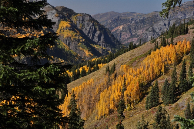 jeep tour to Brown Mountain